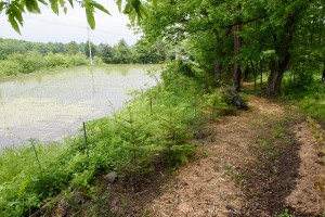 _MTB0809遊歩道